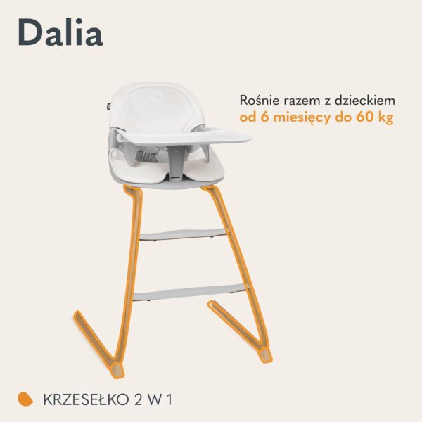 61W5WhjnGL._AC_SL1500_ Lionelo Dalia Krzesełko do karmienia 2w1 do 60kg Szare Drewniane